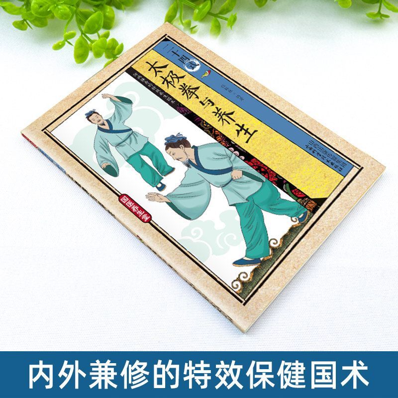 24 stijlen Tai Chi en gezondhe - Health & Wellness Pay recensie en prijs