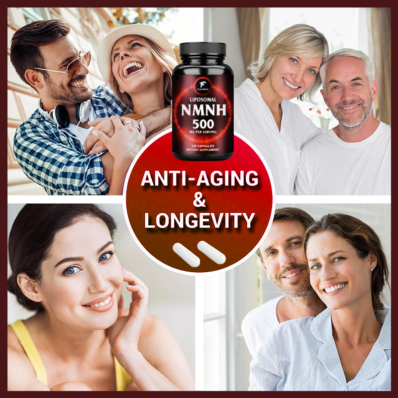 Geavanceerd NMNH 500mg supplem - Holistic Health & Wellness recensie en prijs
